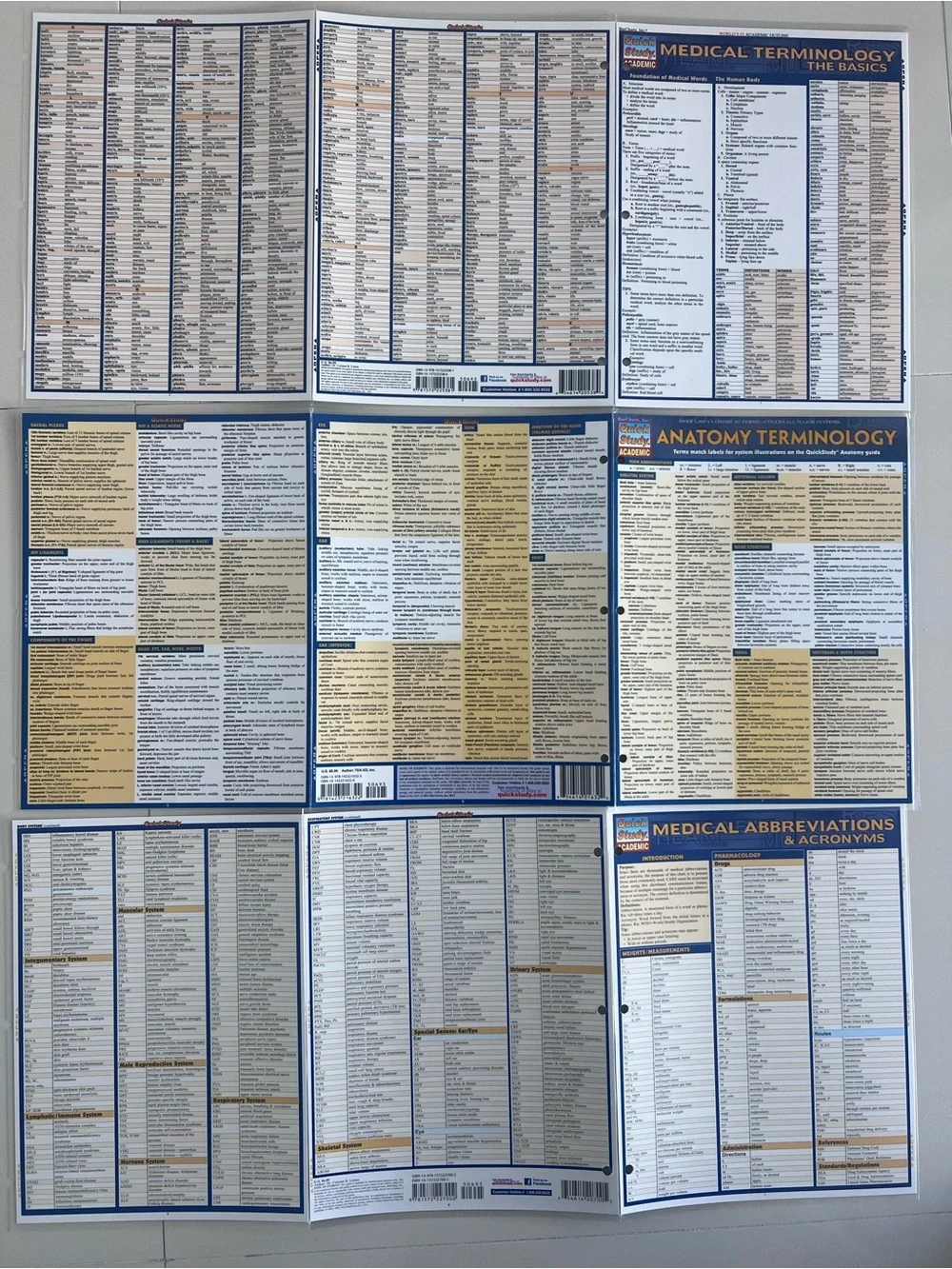 Medical Reference Charts - Anatomy, Medical Terminology & Abbreviations (Blue)